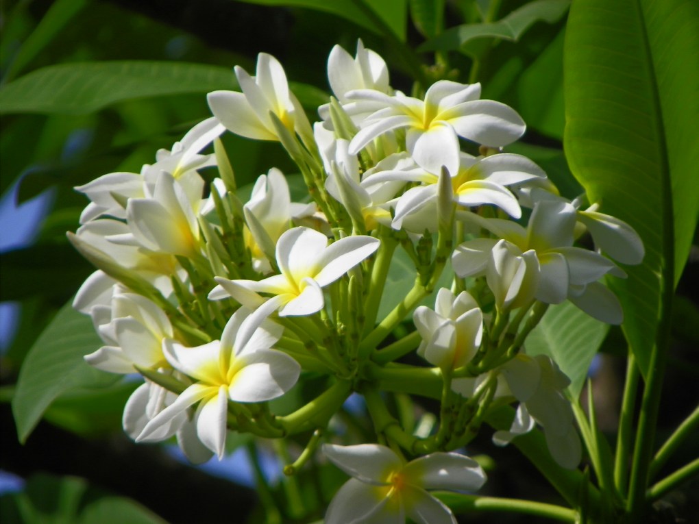 Mother Nature's Blessings: A gift from my friend Julie Gates.