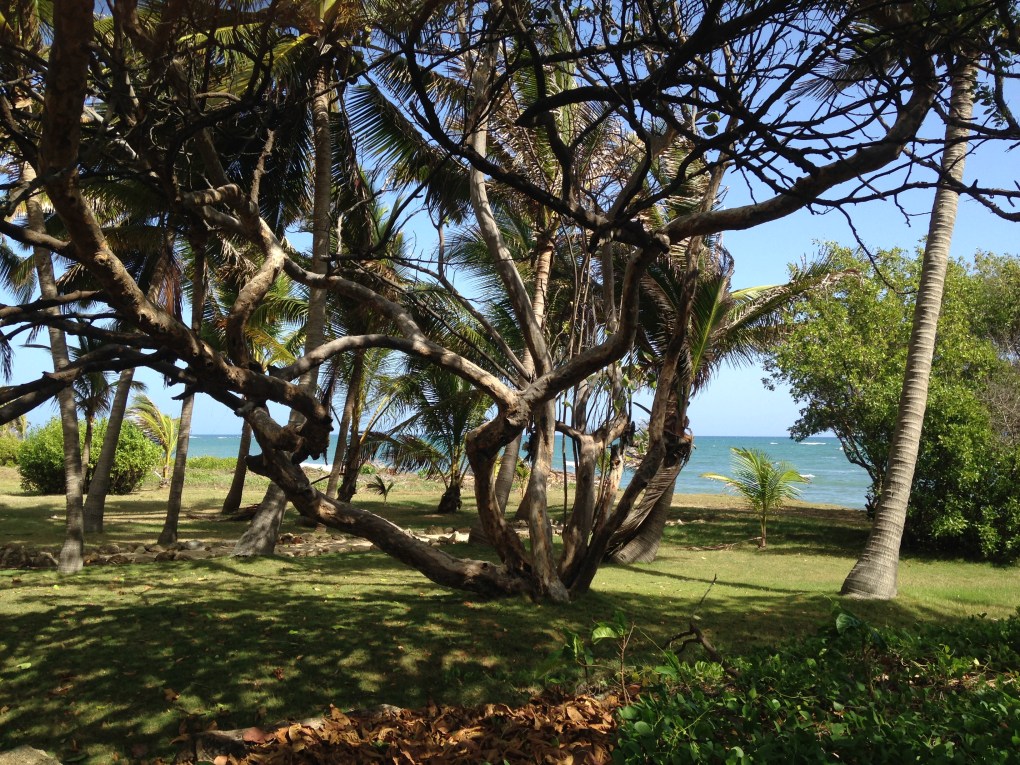 Not a bad office view, if I do say so myself...